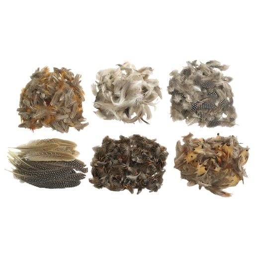 Natural Feathers Classroom Pack